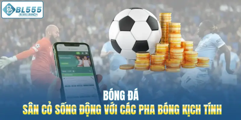 bóng đá sân cỏ 