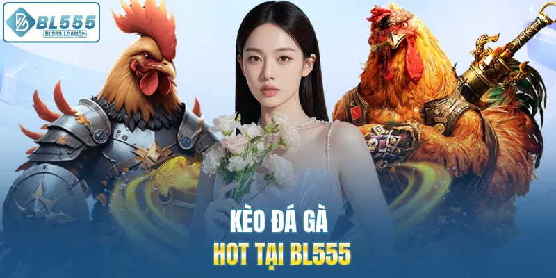kèo đá gà hot tại bl555