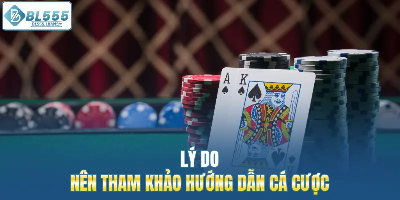 lý do nên tham khảo chuyên mục 