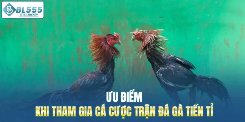 ưu điểm khi tham gia cá cược